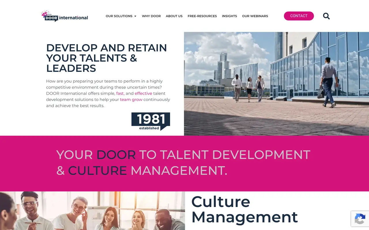 Screenshot of the Door International website